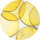 COENZYME Q10